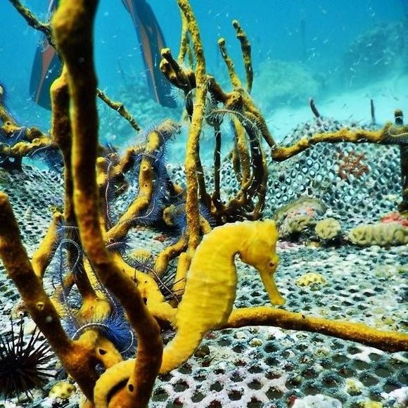 Meet your Posher, Deborah - Picture 1 of 1